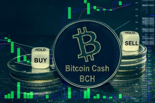 Bitcoin Cash kämpft um 500 US-Dollar trotz düsterer BTC-Prognose