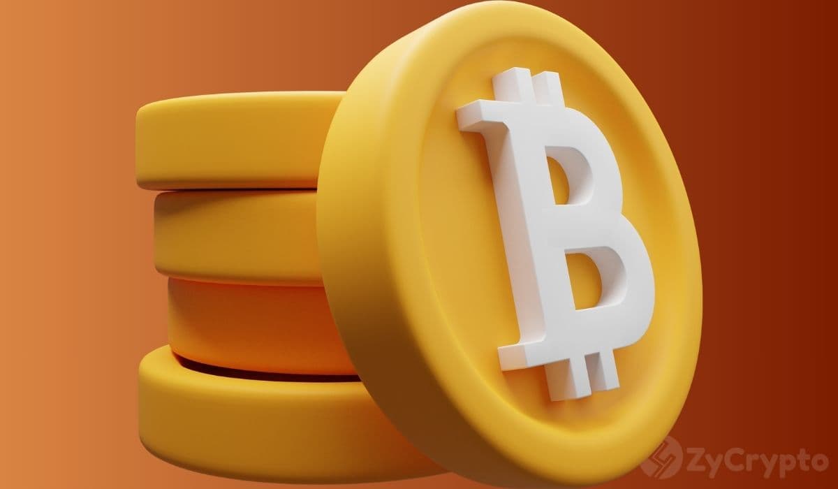 Scaramucci: Trump-Coins lösten Altcoin-Bärenmarkt aus